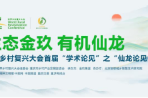 首届“仙龙论见”盛大启幕，共绘世界乡村复兴新画卷