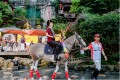 洪崖洞×仙女山1003POLO马球俱乐部，两大世界级IP重磅联袂！